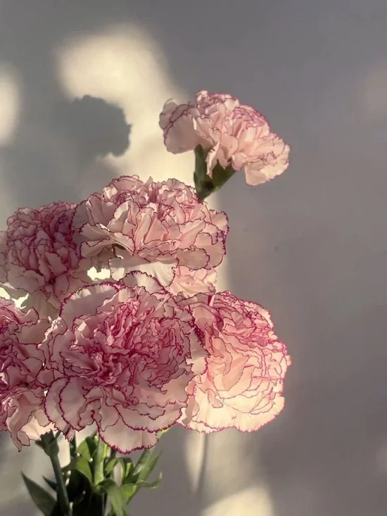 Unlisted Item~ - Picture 1 of 1